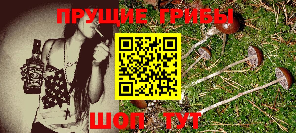 Нижний Новгород  Псилоцибиновые грибы ЛСД  хочу наркоту  Вход с VPN 